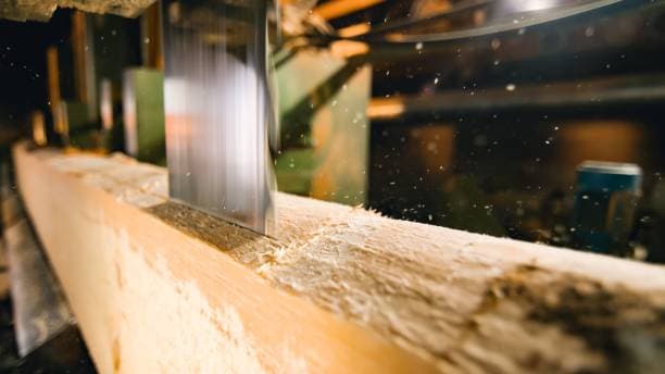 Timber mill in Ghana