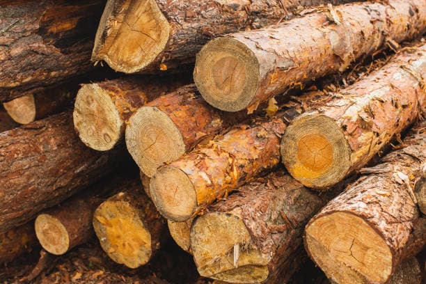 Timber milling operation in Ghana