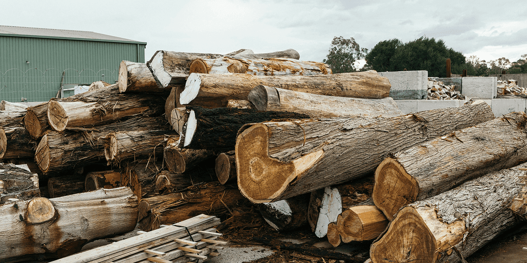 Stacked timber logs